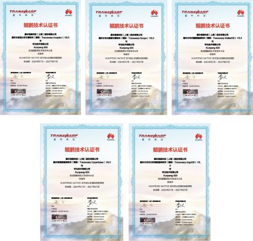 星环科技基于鲲鹏原生开发 赋能企业高效数据处理与软件开发