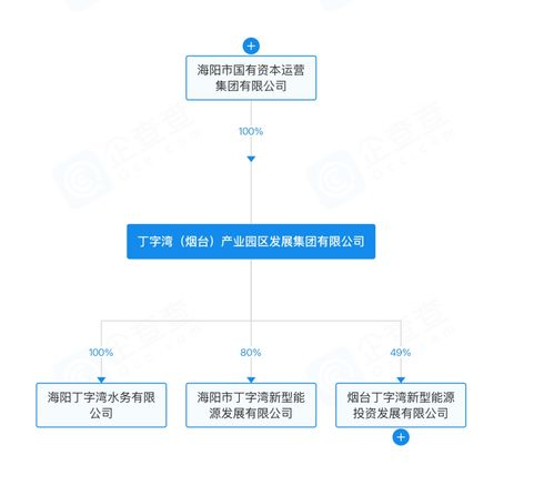 烟台丁字湾新增对外投资，注册资本1000万元强化企业总部管理职能